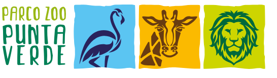 Parco Zoo Punta Verde | Incontri ravvicinati con bradipi, testuggini e giraffe